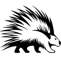 Spikey: A malleable spiking neural network framework and training platform.